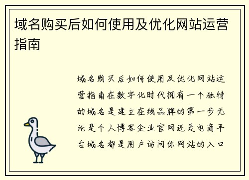 域名购买后如何使用及优化网站运营指南